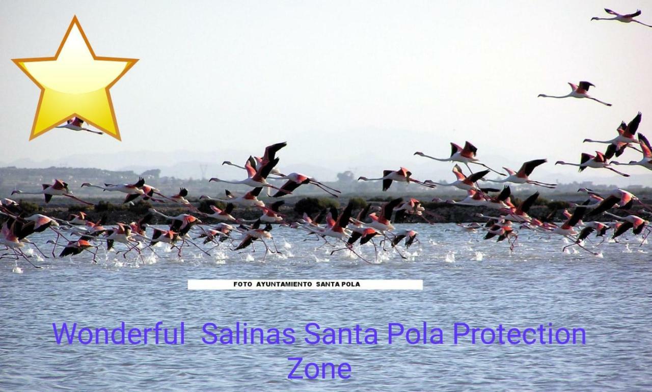 Playa 500M Y Centro Pueblo 600M, Piscina, 4 Clim, 2 Parkings Apartment ซานตาโปลา ภายนอก รูปภาพ